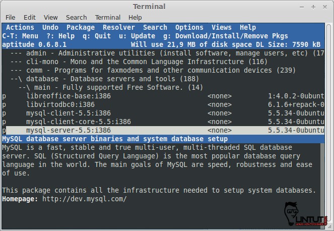 Aptitude GUI mode installation package