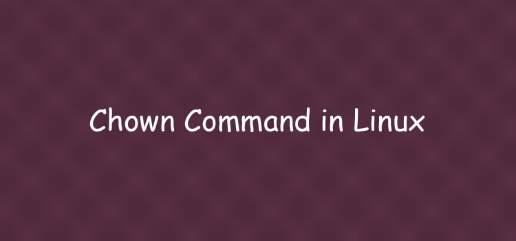 How To Use Chown Command For Beginners Lintut